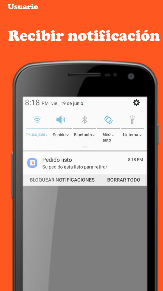 imagen notificación